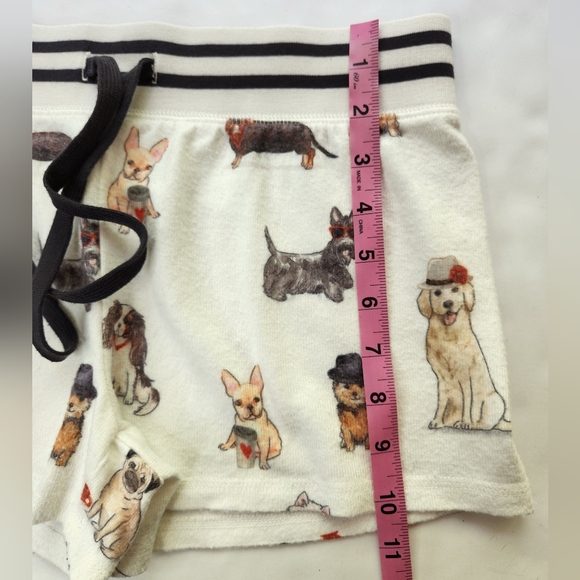 PJ Salvage - Picture 11 of 14